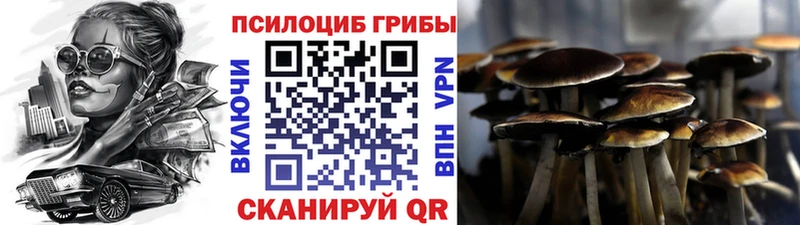 закладка  Бирск  Псилоцибиновые грибы MAGIC MUSHROOMS 